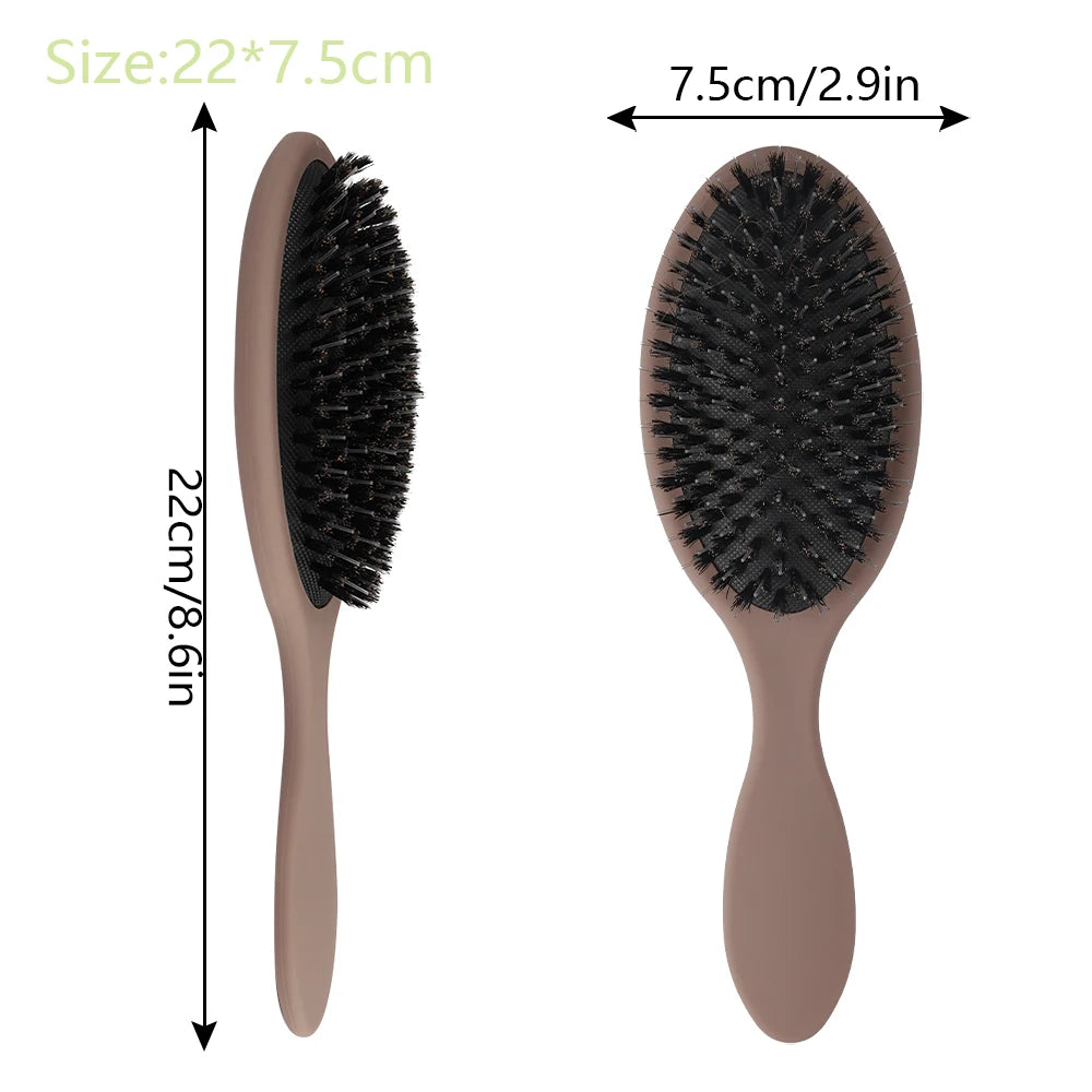 Matte Finish Boar Bristle Hair Brush Nylon Teeth