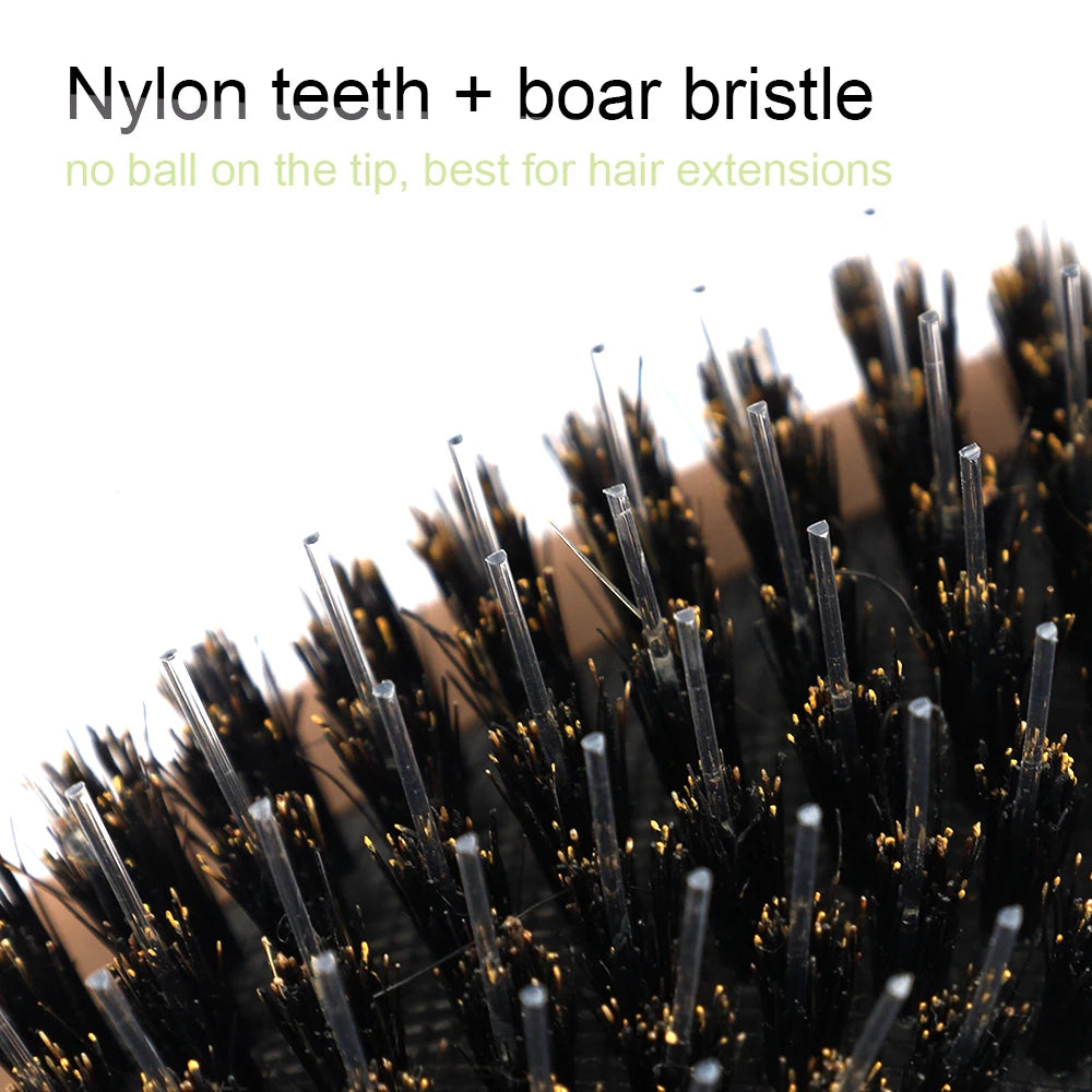 Matte Finish Boar Bristle Hair Brush Nylon Teeth