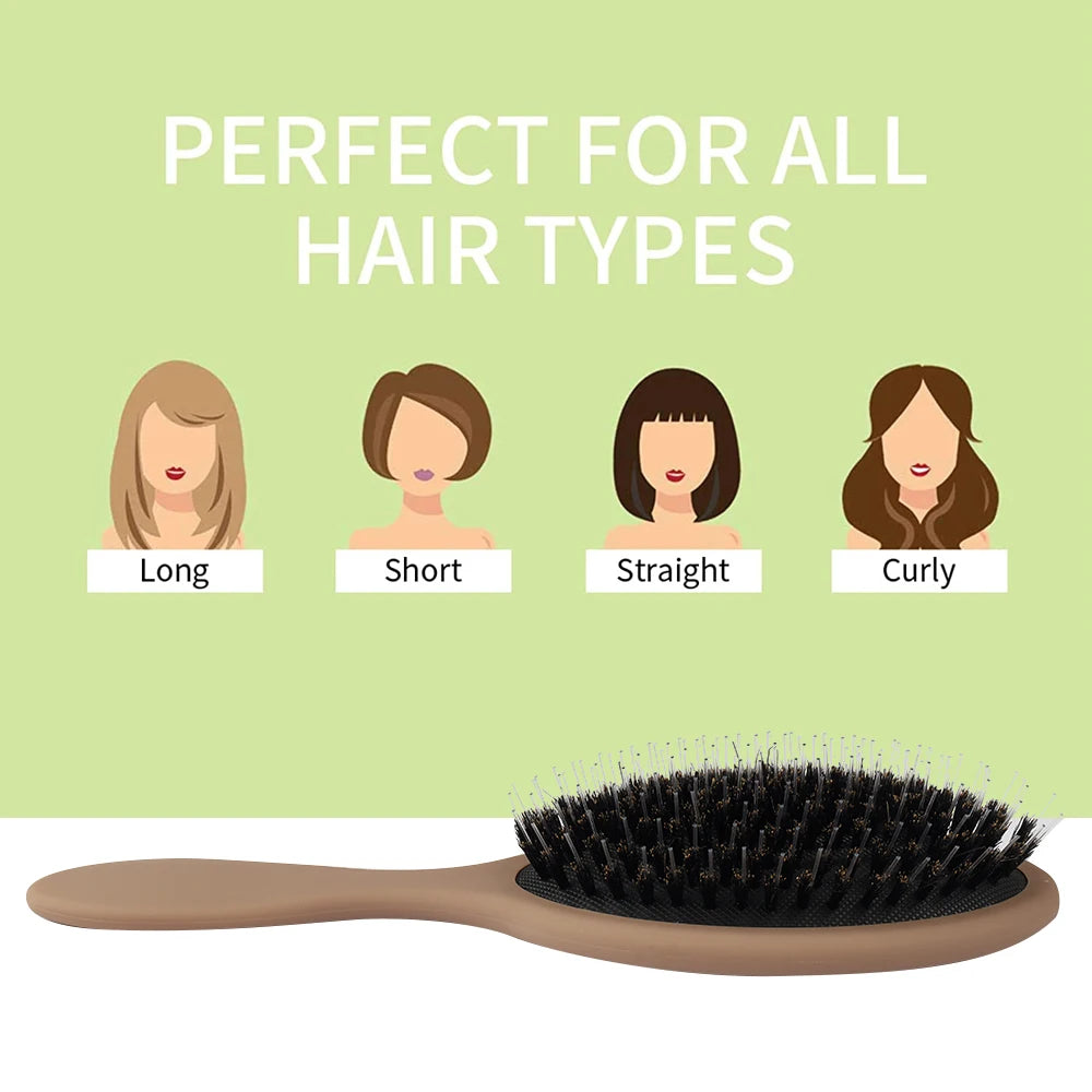 Matte Finish Boar Bristle Hair Brush Nylon Teeth